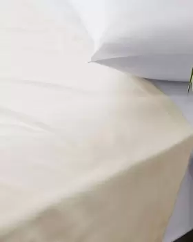 Image of Cotton Traders 200 Thread Count Percale Flat Sheet in White
