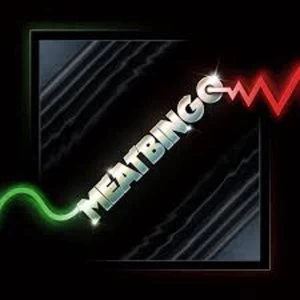 Image of Meatbingo - The Error of My WAVs Vinyl