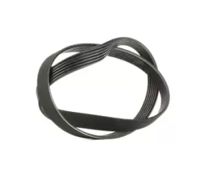 Image of SKF V-ribbed belt VKMV 6PK1076 Serpentine belt,Auxiliary belt VW,AUDI,FIAT,POLO (9N_),Polo Schragheck (6R1, 6C1),Fox Schragheck (5Z1, 5Z3, 5Z4)