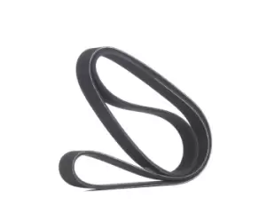 Image of RIDEX V-ribbed belt 305P0067 Serpentine belt,Auxiliary belt MERCEDES-BENZ,OPEL,FORD,SPRINTER 3,5-t Kasten (906),SPRINTER 3,5-t Bus (906)