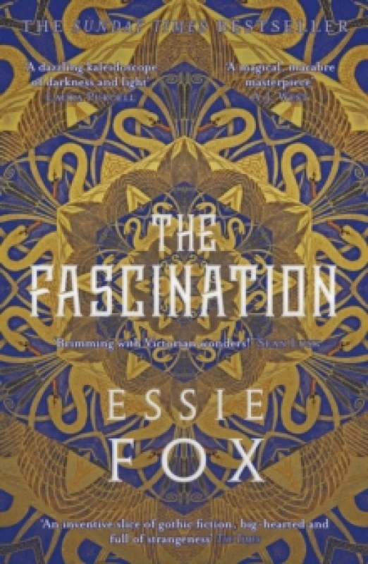 Image of The Fascination Paperback / softback