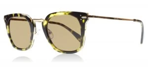 Image of Celine 41402S Sunglasses Black / Gold / Print J1LA6 47mm