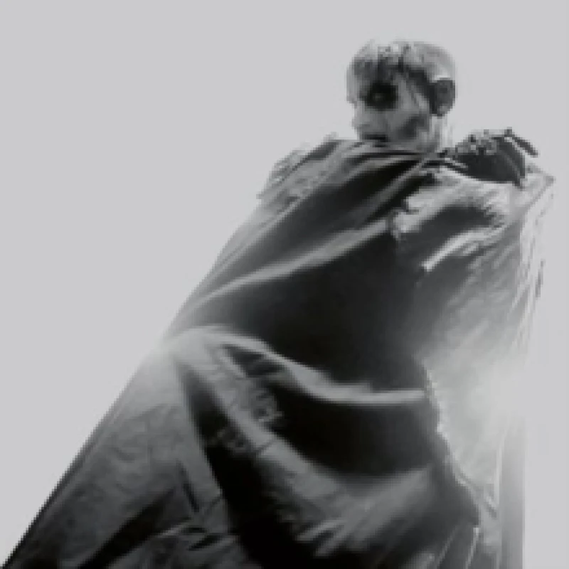 Image of At Hav Av Avstand Vinyl