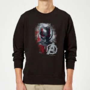 Image of Avengers Endgame Ant Man Brushed Sweatshirt - Black