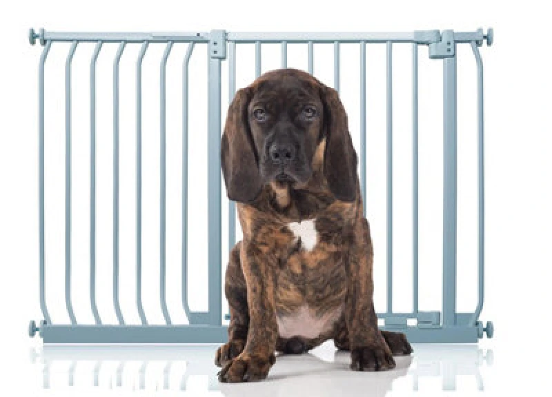 Image of Bettacare Elite Pressure Dog Gate, 116Cm - 125Cm, Matt Grey, Pressure Fit Pet Gate For Dog And Puppy