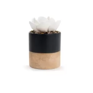 Image of Succulent Oil Diffuser - Navy