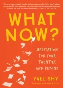 Image of What Now? Meditation for Your Twenties and Beyond