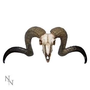 Image of Diablo Large Skull