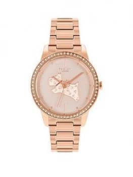 Image of Radley Rose Tone Dog Dial Stone Set Stainless Steel Bracelet