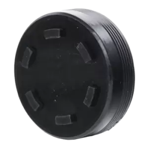 Image of PAYEN Plug, rocker arm shaft mounting bore BMW LV943 11331264519