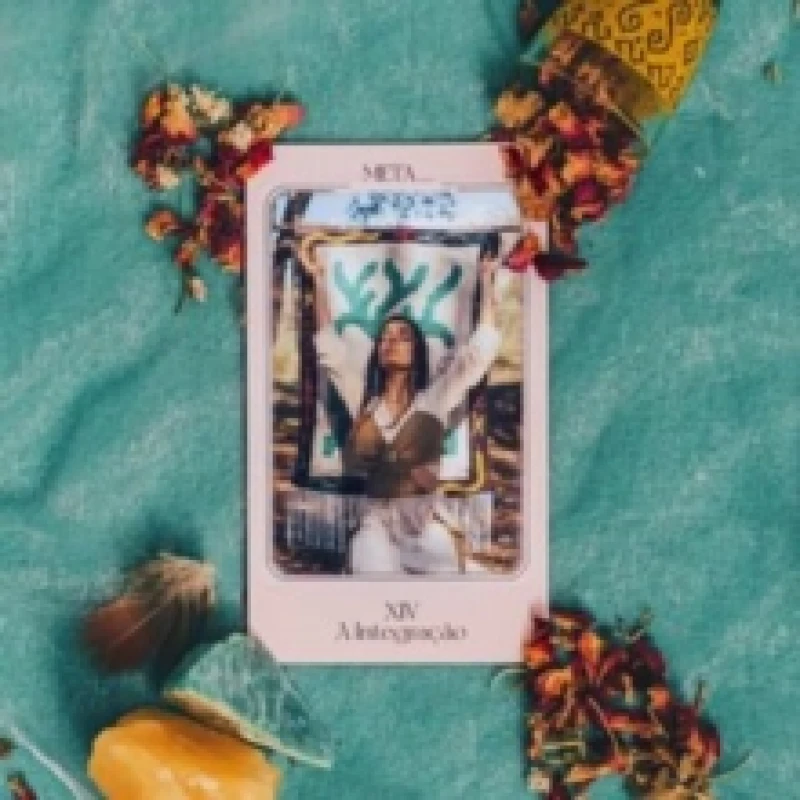 Image of XIV a Integreo Vinyl