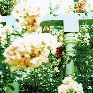 Image of Unwed Sailor Little Wars LP Vinyl