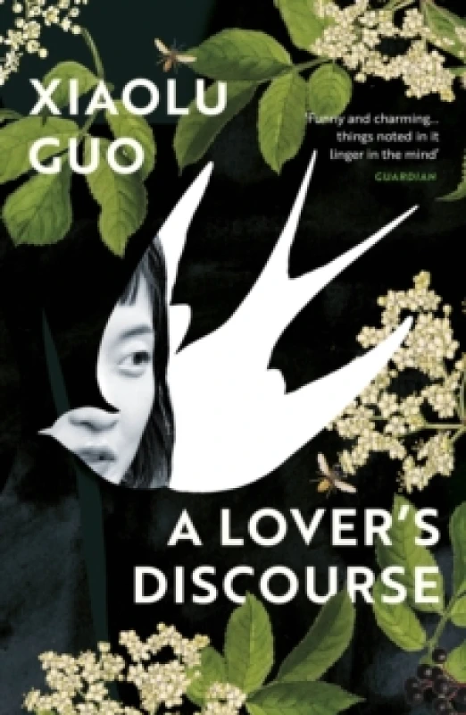 Image of A Lover's Discourse Paperback / softback