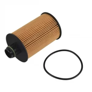 Image of Oil Filter ADA102129 by Blue Print