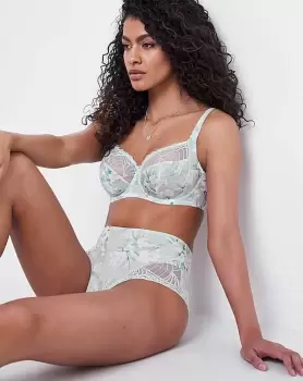 Image of Fantasie Adelle Full Brief