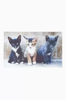 Image of Recycled Rubber Printed Cats Doormat