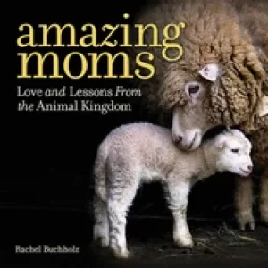 Image of amazing moms love and lessons from the animal kingdom