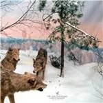 Image of Jealous Sound (The) - Gentle Reminder (Music CD)