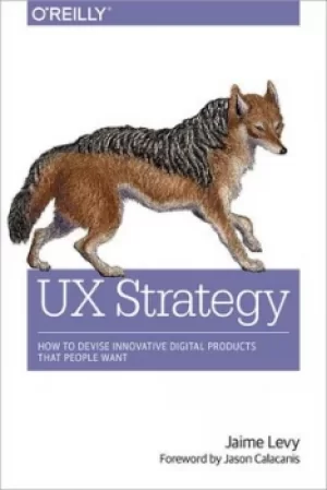 Image of UX strategy by Jaime Levy