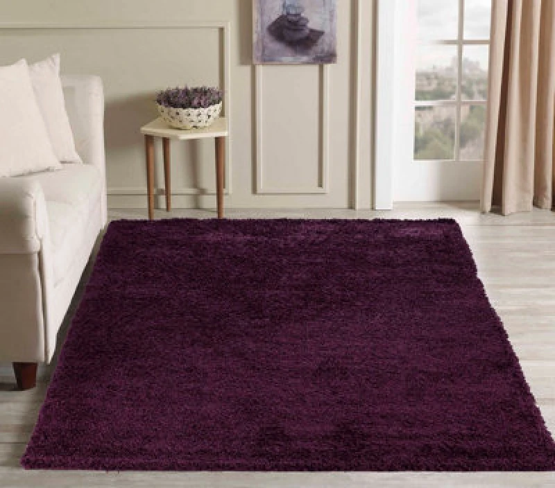 Image of Desire Rugs Plain Living Room Shaggy Area Rugs Violet 120X170 Cm