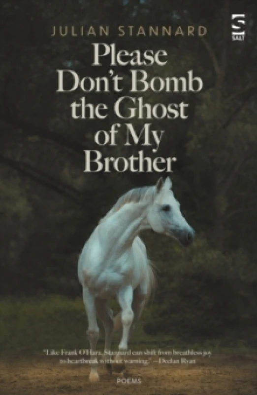 Image of Please Dont Bomb the Ghost of My Brother Paperback / softback