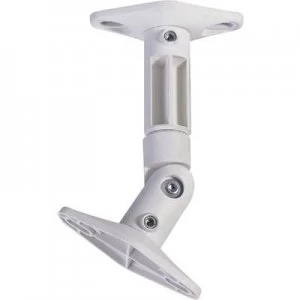 Image of NewStar SPEAKER-W100 Speaker ceiling mount Tiltable Max. distance to floor/ceiling: 14.2cm White