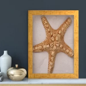 Image of AC1990015346 Multicolor Decorative Framed MDF Painting