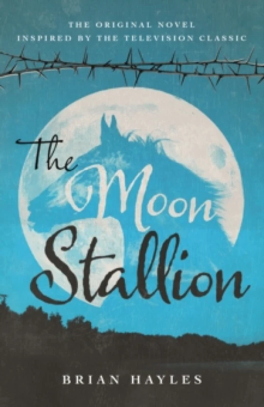 Image of The Moon Stallion Paperback / softback
