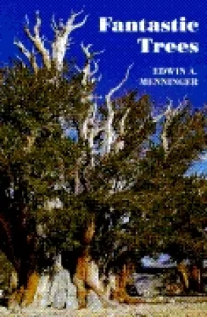 Image of fantastic trees