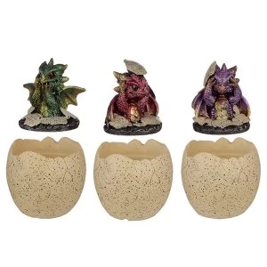 Image of Hatching Elements Dragon Egg Trinket Box (1 Random Supplied)