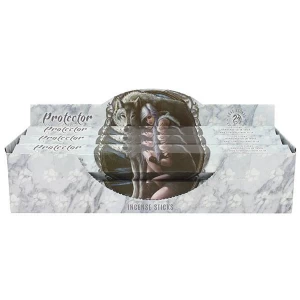 Image of Pack of 6 Protector Incense Sticks by Anne Stokes