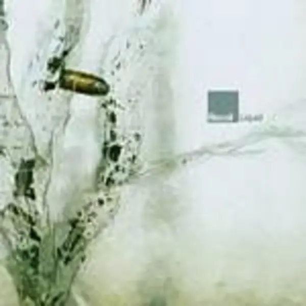 Image of Recoil - Liquid (Music CD)