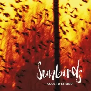 Image of Cool to Be Kind by Sunbirds CD Album