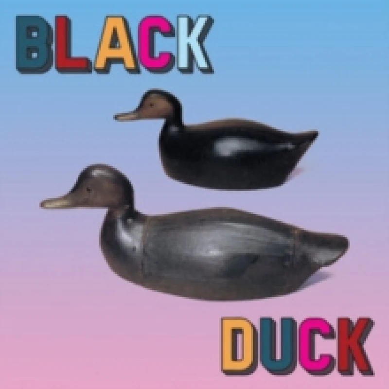 Image of Black Duck Vinyl