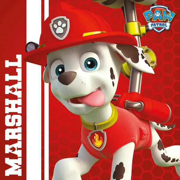 Image of Paw Patrol (Marshall Ready To Rescue) 40x40 Canvas DC95932