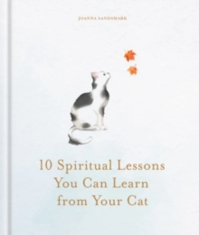 Image of 10 Spiritual Lessons You Can Learn from Your Cat : Essential Life Lessons We Can Learn From Our Furry Friend Hardback