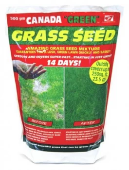 Image of Canada Green Grass Seed Pack 500g.