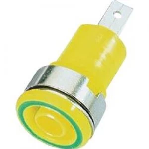 Image of Safety jack socket Socket build in Green yellow Staeubli