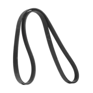 Image of SKF V-ribbed belt MERCEDES-BENZ,RENAULT,NISSAN VKMV 6PK1197 117208309R,0039935196,6079930696 A0039935196,1172000Q5E,1172000Q8A,117208309R,117209098R