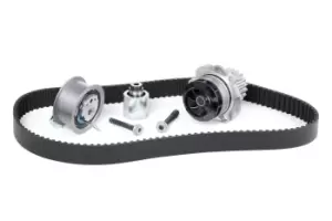 Image of INA Water Pump + Timing Belt Kit 530 0201 32 VW,AUDI,FORD,Golf IV Schragheck (1J1),Golf V Schragheck (1K1),TOURAN (1T1, 1T2),Passat Variant (3C5)