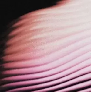 Image of Everything Everywhere by Polar Vinyl Album