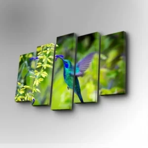 Image of 5PUC-075 Multicolor Decorative Canvas Painting (5 Pieces)