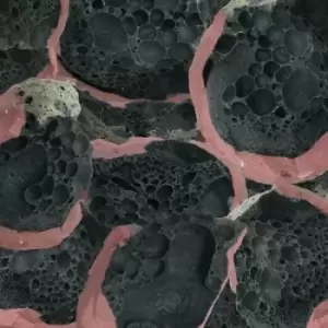 Image of Eric Chenaux - Say Laura CD Album - Used