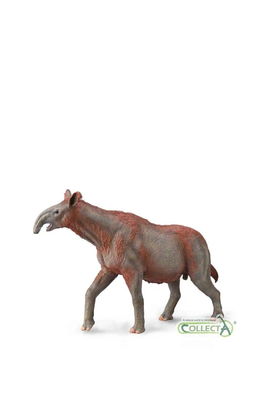 Image of CollectA Prehistoric Paraceratherium Toy Mid Grey unisex