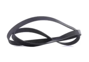 Image of CONTITECH V-ribbed belt 7PK1749 Serpentine belt,Auxiliary belt RENAULT,NISSAN,HONDA,MASTER III Kasten (FV)