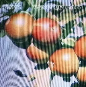 Image of Psychic Data by TVAM CD Album