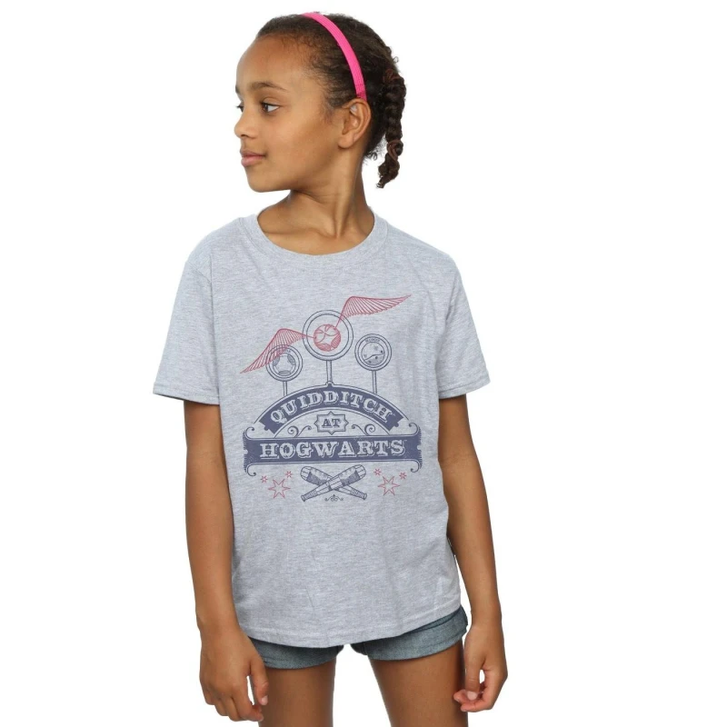Image of Harry Potter Quidditch At Hogwarts T-Shirt Grey female