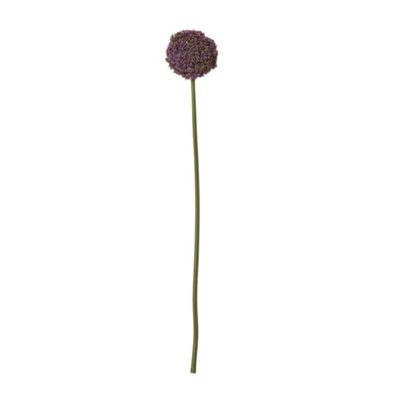 Image of Purple Allium Stem