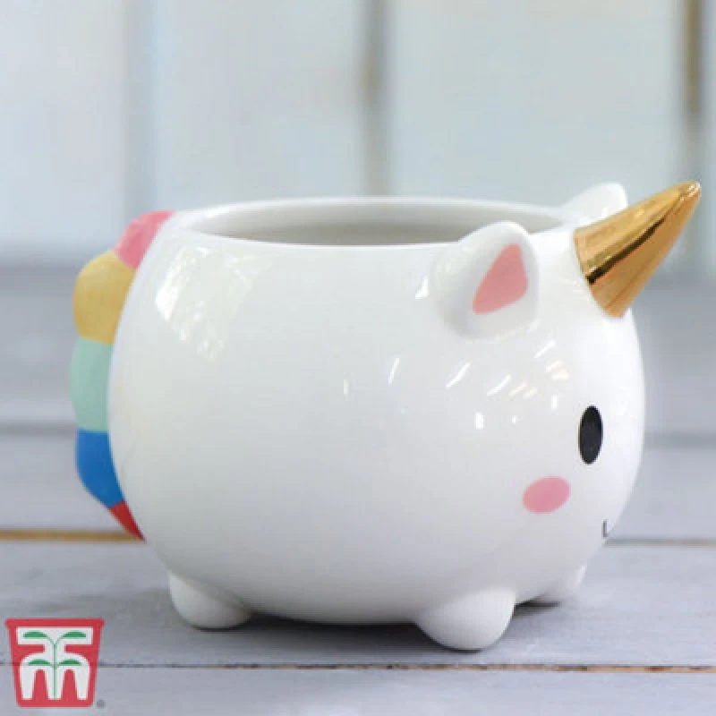 Image of Thompson & Morgan Unicorn Pot With Gold Horn - 1 Pot