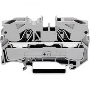 Image of Continuity 10 mm Pull spring Configuration L Grey